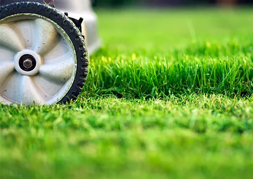 Lawn Care collection image