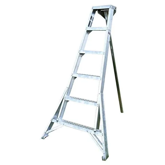 Ladders collection image