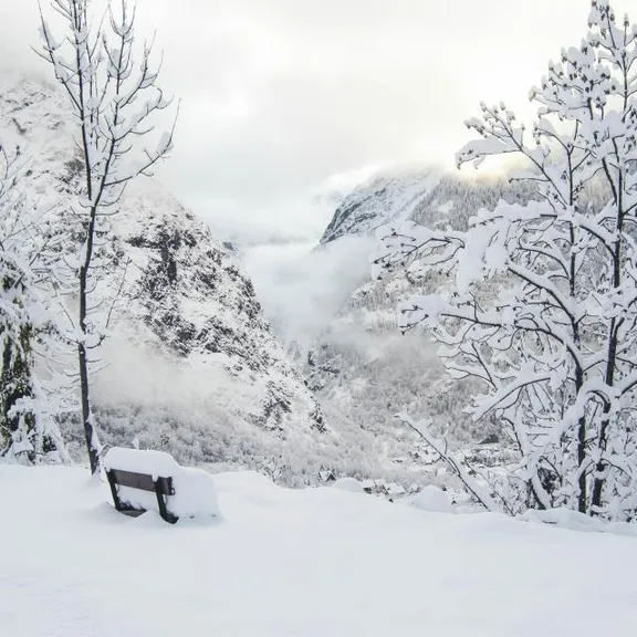 Hiver collection image