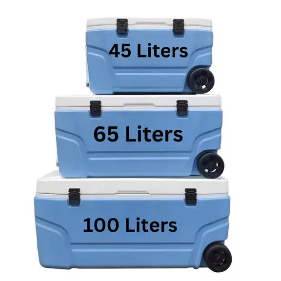 Igloos and Ice Buckets  collection image