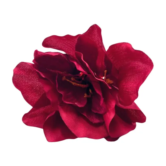 Nepplant collection image