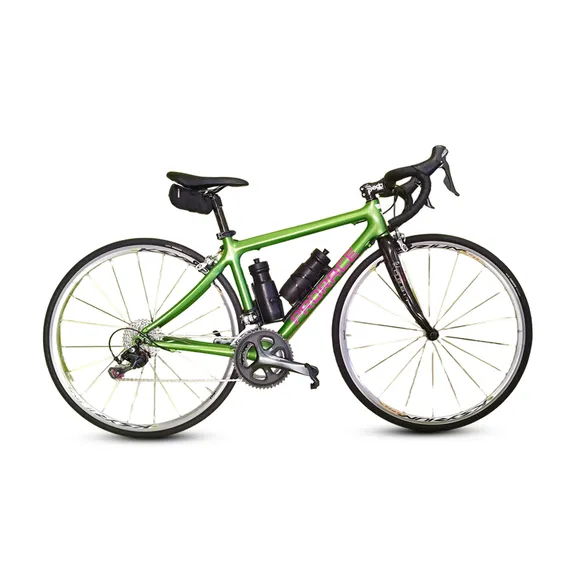 PRORACE collection image