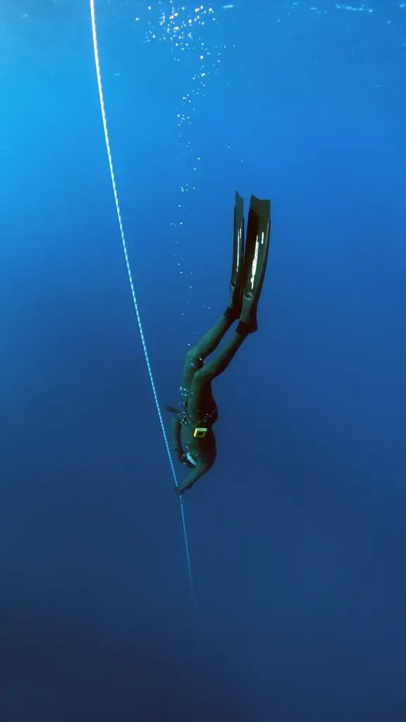 Freediving collection image