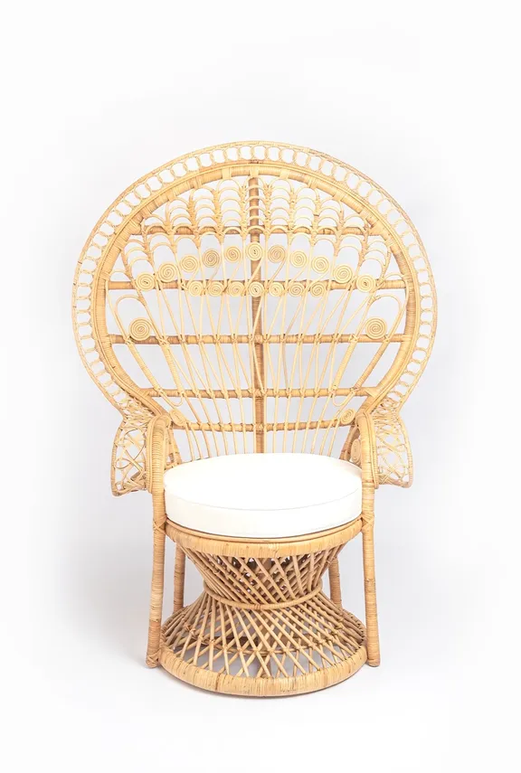 Category_Occasional & Focal Chairs collection image