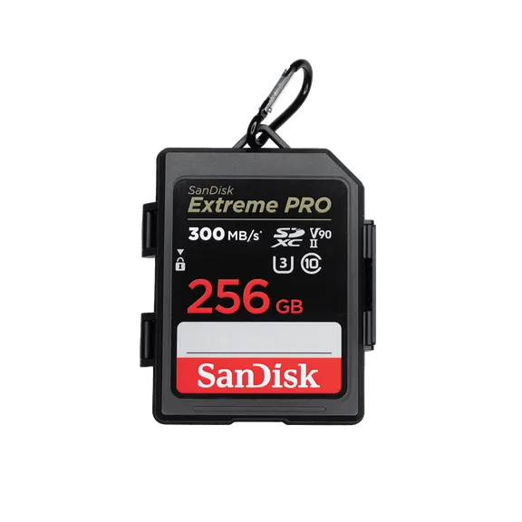 Category_Camera collection image