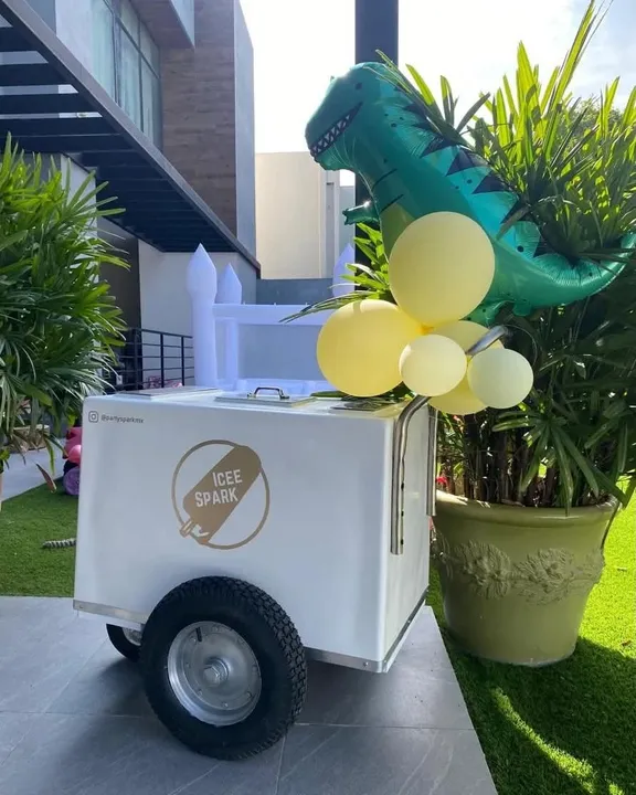 Carritos de Paletas collection image