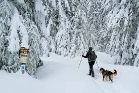 Snow Sports collection image