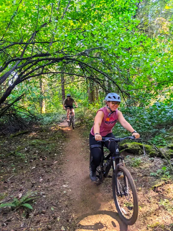 Transportation collection image