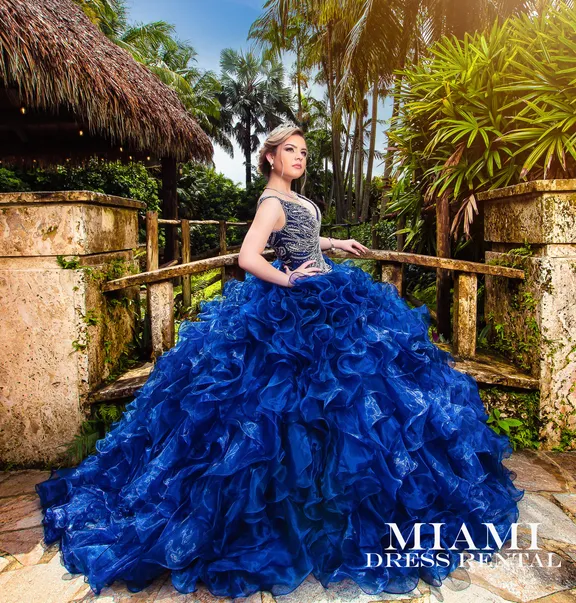 Quinceañera Dresses - Silver/ Plateado collection image