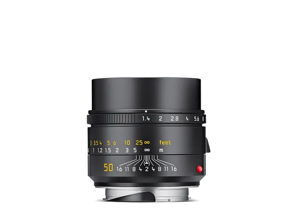 All collection image