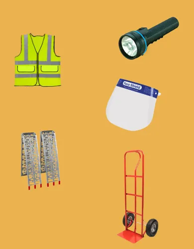 LTN-Other collection image