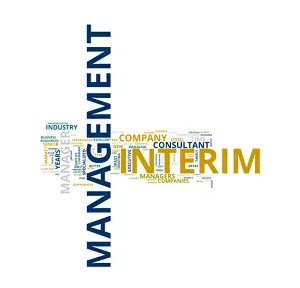 Interim management collection image