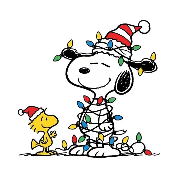 All products collection image