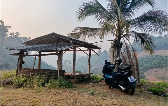 Chiang Mai collection image