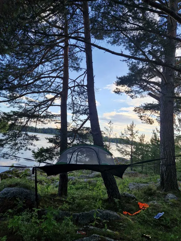 SVEVETELT collection image