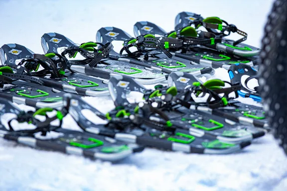 Snowshoes  collection image