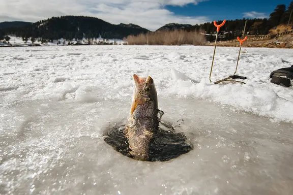 Ice Fishing collection image