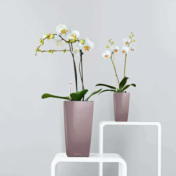 Vasen und Tischgefäße collection image