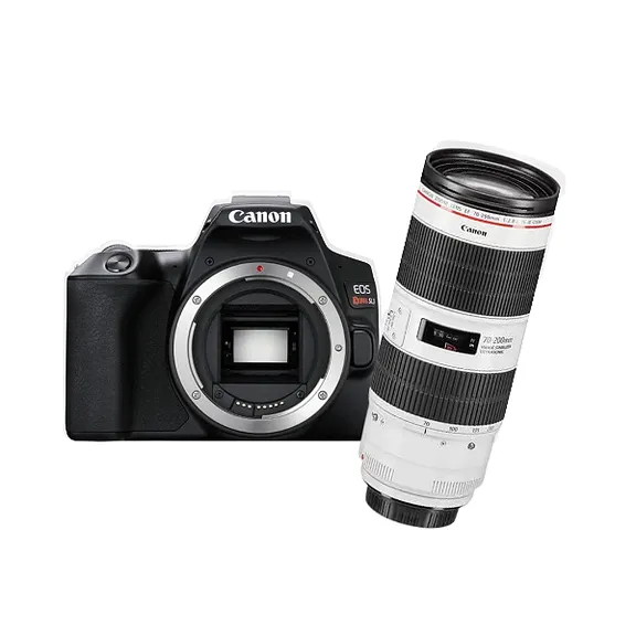 LENTES CANON collection image