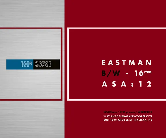 Film Stock collection image