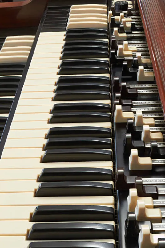Keyboards & Organs collection image