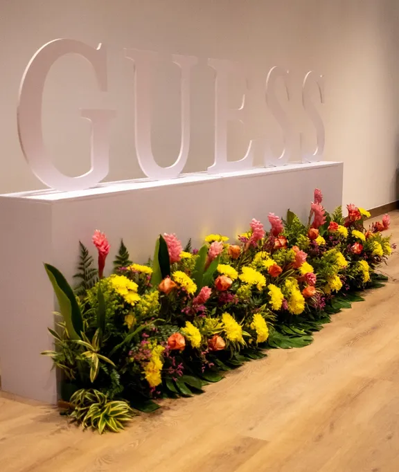 Corporativo collection image