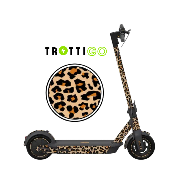 All collection image