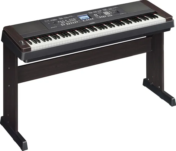 Piano & Keyboard collection image