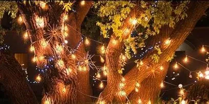 Lighting collection image