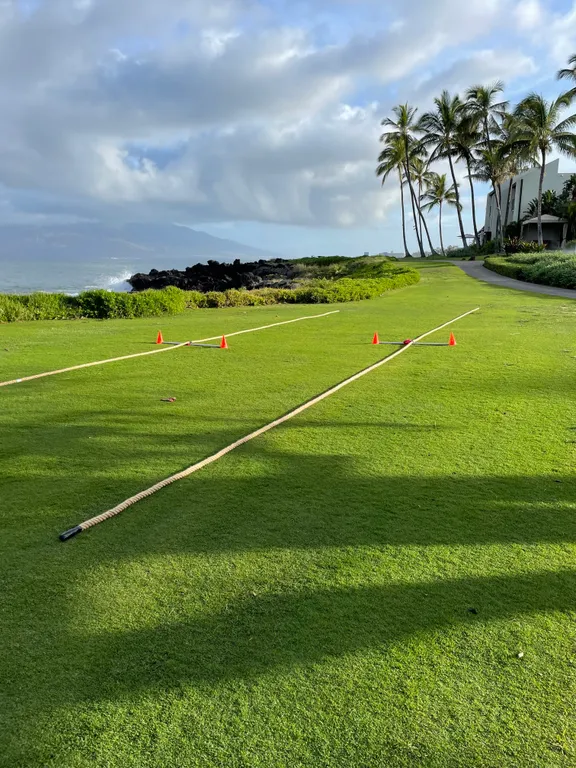 Category_Featherweight Games - Maui collection image