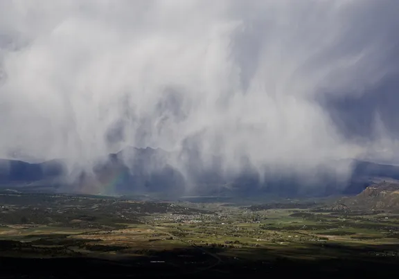 Conservation Products collection image