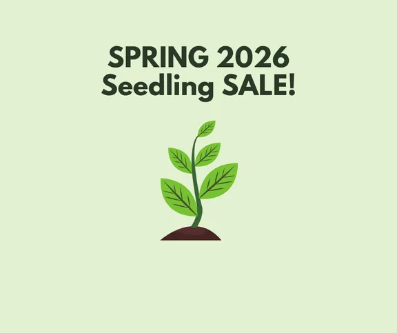 Spring 2026 Seedling Sale collection image