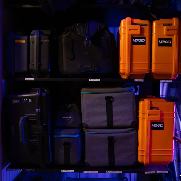 Alle collection image