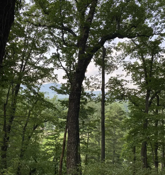 Landscape Equipment collection image