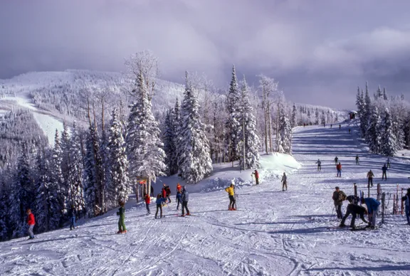 Skidåkning collection image