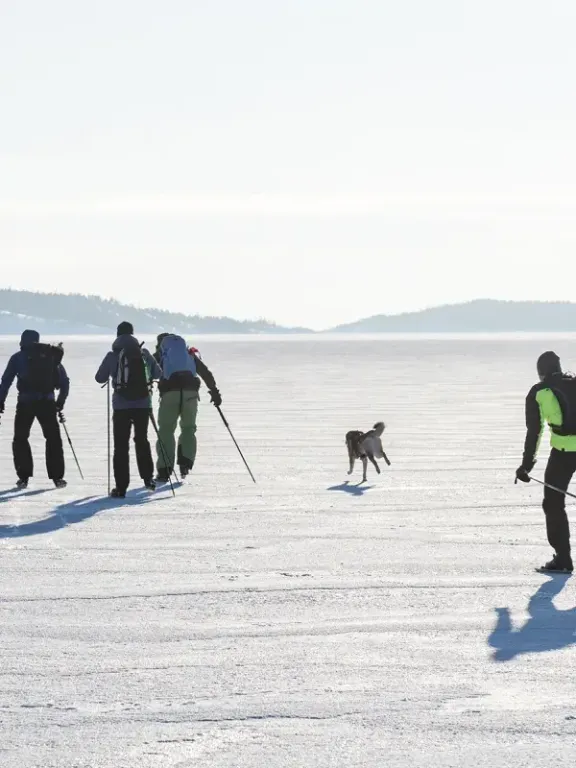 Långfärdsskridskor collection image