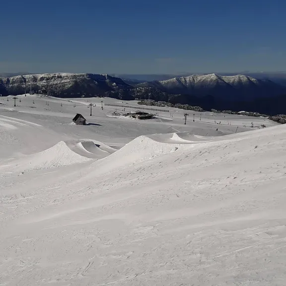 Recommended for you collection image