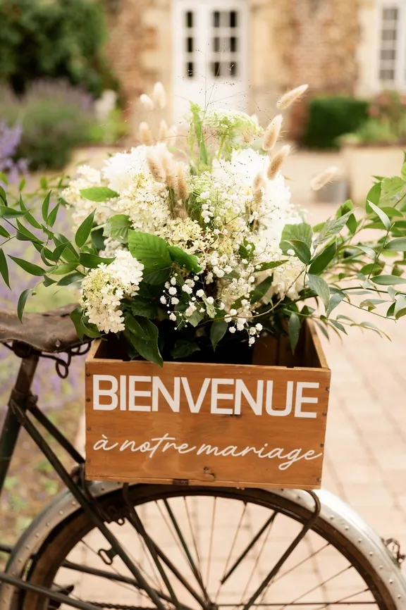 PANNEAU & CO collection image