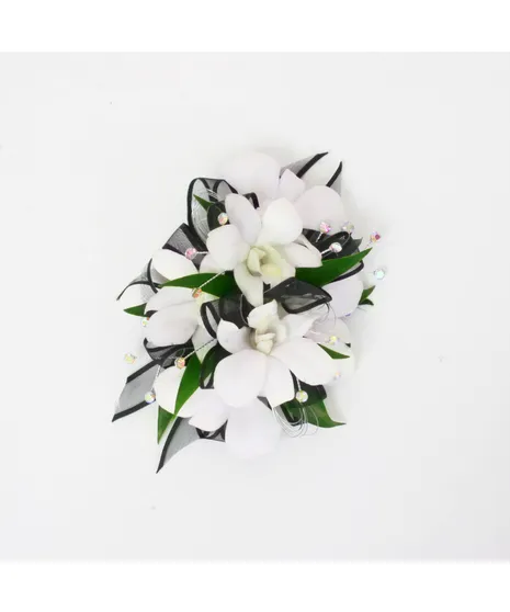 All products collection image