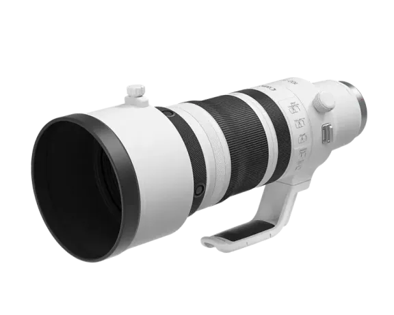 ZOOM ZOOM ZOOM collection image