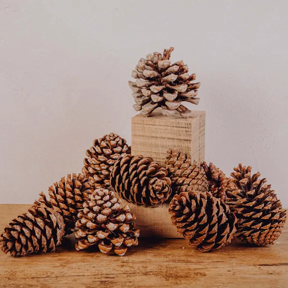 Objets divers collection image