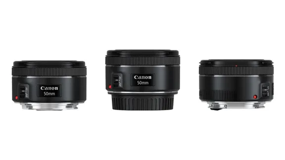 Animals  collection image