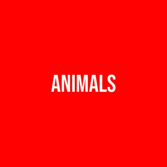 Animals collection image