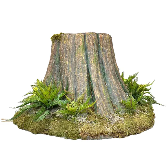 Moss collection image