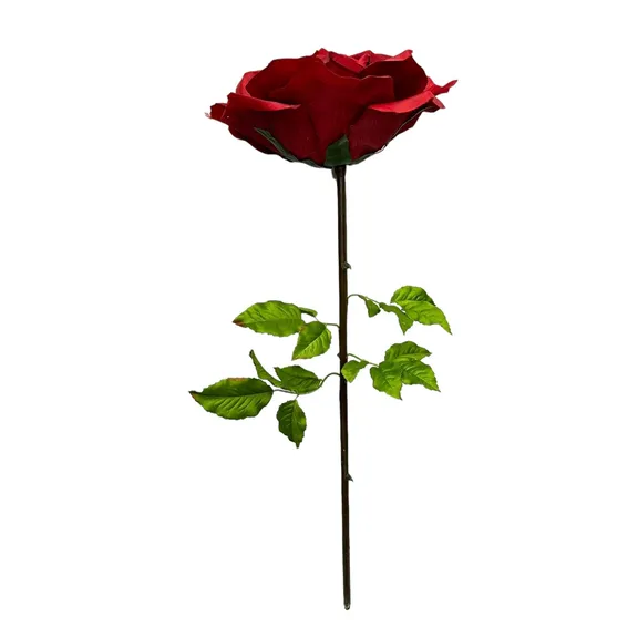 Valentine's collection image