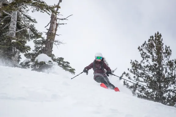 Telemark Skiing collection image