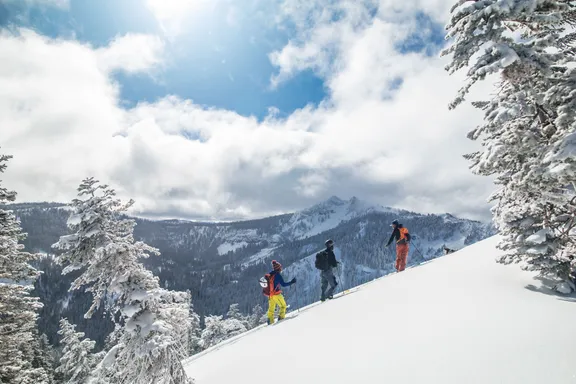 Touring Accessories and Avalanche Safety Essentials collection image