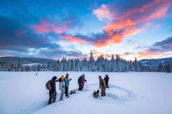 Snowshoes collection image