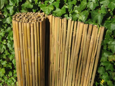 Decoratie collection image