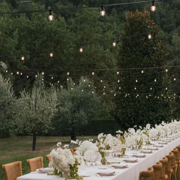 Lighting collection image